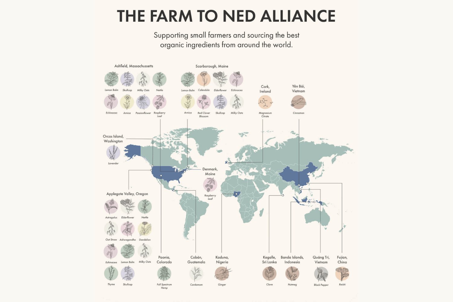 The Farm to Ned Alliance