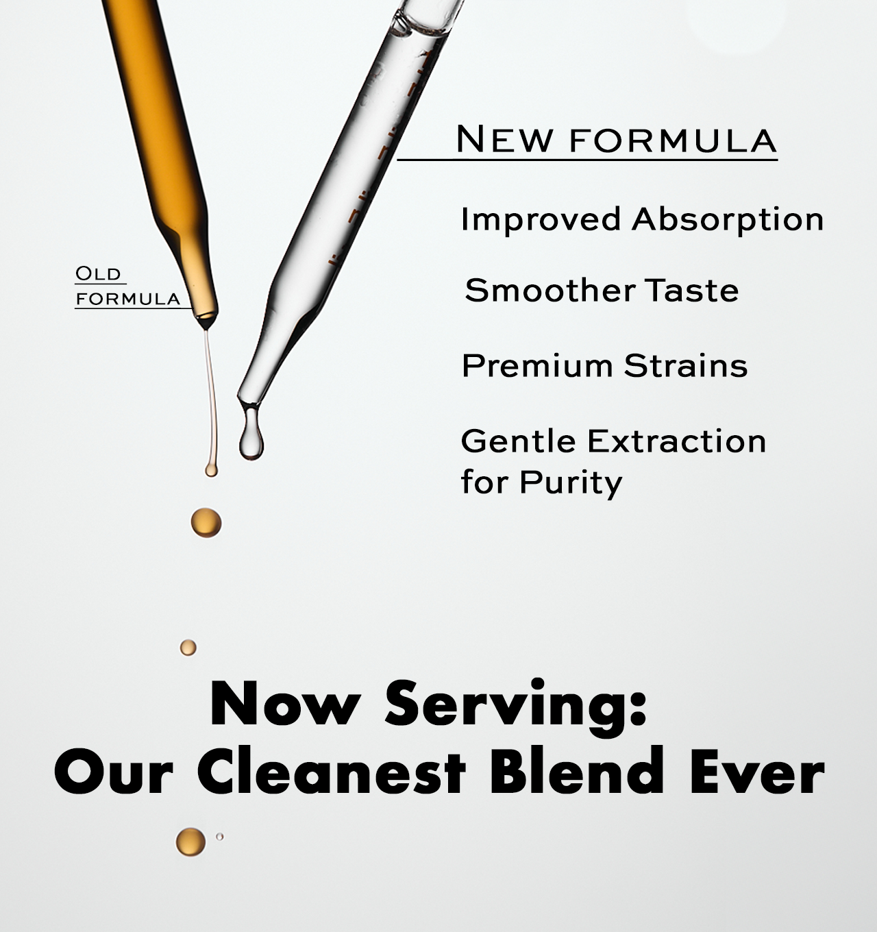 Daily Blend